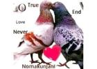  How to bring back the love that's lost?  +27735584255 UK, USA, ,CANADA, NAMIBIA.