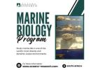 Marine Biology Field Program South Africa