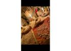   Best Black Magic for Voodoo Death Spell Caster In United States, Indonesia, UK, Norway,+2773558425