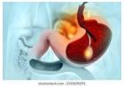Expert Endoscopy Solutions by the Best Endoscopist in Ahmedabad
