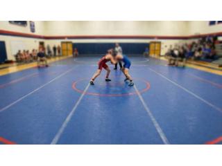 Best Price Wrestling Mat Online | Gravolite