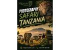 Ultimate Tanzania Photography Safari for Guided Wildlife Adventures