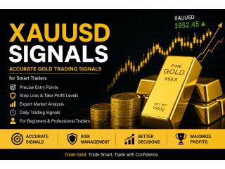 Best XAUUSD Signals Provider for Gold Traders