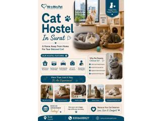 Cat Hostel