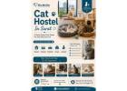 Cat Hostel