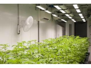 Duramax grow room walls ensure a brighter and cleaner interior