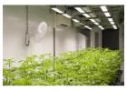 Duramax grow room walls ensure a brighter and cleaner interior