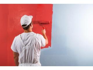 Interior House Painters Near Me