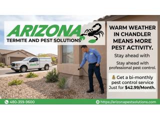 Pest Control Chandler in in Just $42.99/Month - Arizona Termite & Pest Solutions