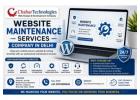 Professional Website Maintenance Services Company in Delhi for Secure Websites