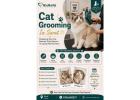 Cat Grooming