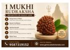 1 Mukhi Rudraksha Benefits in Daily Life