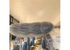 PVC car wash wall panels: Fast and easy installation saves expenses 