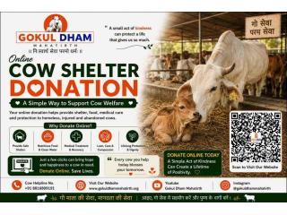 How Can I Support a Cow Rescue Near Me Easily?