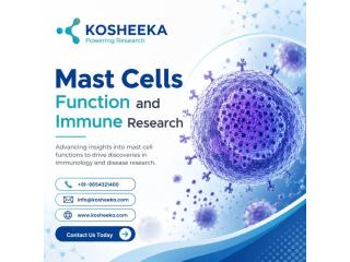 Mast Cells Function and Immune Research