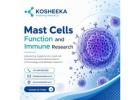 Mast Cells Function and Immune Research