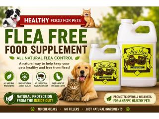 The Natural Way to Help Control Fleas
