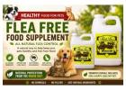 The Natural Way to Help Control Fleas