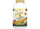 Natures Plus Source Of Life Gold Chewables for Daily Nutrition - Nature's Pick Market