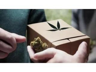 Streamline Your Routine With Northwest Dc Weed Delivery Services