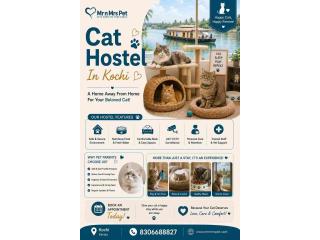 Cat Hostel
