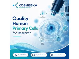 Quality Human Primary Cells for Research