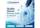 Quality Human Primary Cells for Research