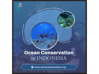 Ocean Conservation in Indonesia