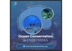 Ocean Conservation in Indonesia
