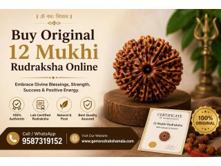 Buy Original 12 Mukhi Rudraksha Online