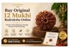 Buy Original 12 Mukhi Rudraksha Online