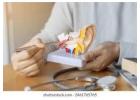 Advanced Care for ENT Problems at the Best ENT Treatment Hospital in Silchar
