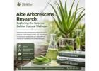 Aloe Arborescens Research: Exploring the Science Behind Natural Wellness 