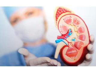 Nephrology Hospital in Gujarat