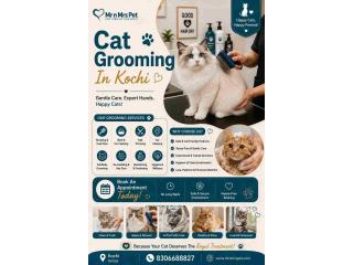 Cat Grooming