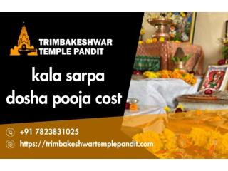 Kaal Sarp Puja Booking Open For 2026 Dates