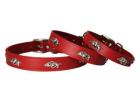 Show Team Pride with Razorback Dog Collar Designs