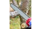 Tree Cutting Dural