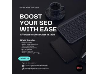Optimizing organic search visibility for competitive Delhi-NCR niches