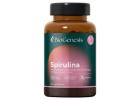 Premium Spirulina Organic Powder for Daily Nutrition