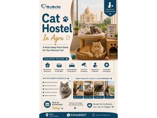 Cat Hostel