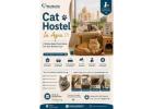 Cat Hostel