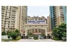  What is the current starting price for a new booking or fresh allotment in Amrapali Sapphire, 