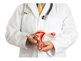 Uterine Fibroid Embolization Cost in India Advanced UFE Care | IRFacilities