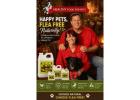 Why Pet Owners Choose Flea Free
