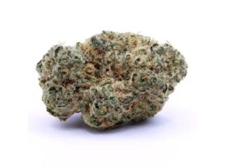 Buy Sativa Weed in Oshawa: Uplifting Aromas and Premium Genetics