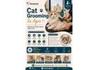 Cat Grooming