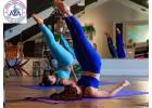 Start Your Wellness Journey with Flow Yoga Austin Today 