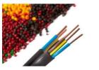 High Temperature Wires and Cables Manufacturer