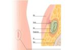 Advanced Care Solutions for Piles and Anorectal Health Issues 